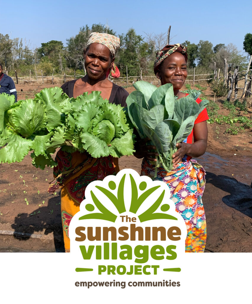 The Sunshine Villages Project