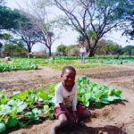 The Seeds Of Change Can Root Generations